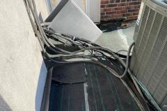 WhatsApp-Image-2021-12-30-at-11.11.09-AM-1