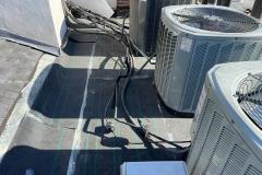 WhatsApp-Image-2021-12-30-at-11.11.09-AM-2