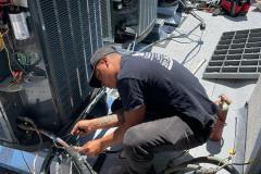 WhatsApp-Image-2021-12-30-at-11.11.09-AM-6