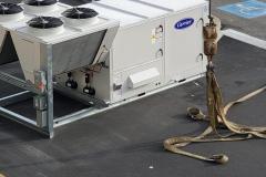 WhatsApp-Image-2021-12-30-at-11.13.44-AM-9